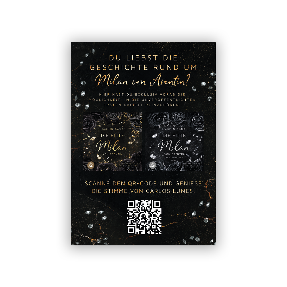 Flyer 3
