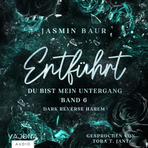 Hörbuch Entführt 6